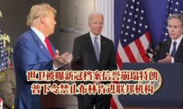 马斯克新冠爆料最新消息,揭秘疫情真相与全球应对策略